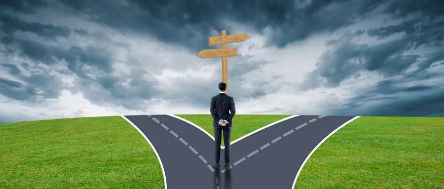 十字路口易迷失，误入歧途无所得打一个准确生肖，详细解答、科学解答解释落实